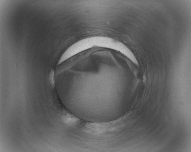 X0000070180041200606162133