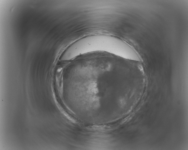 X0000070180049200606162132