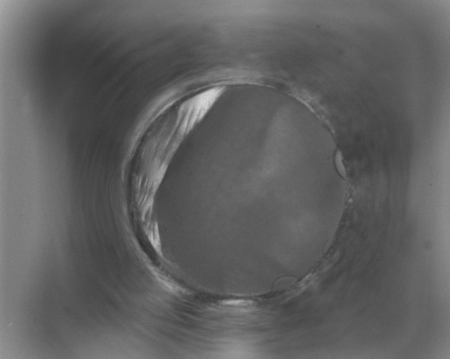 X0000070180053200606162132