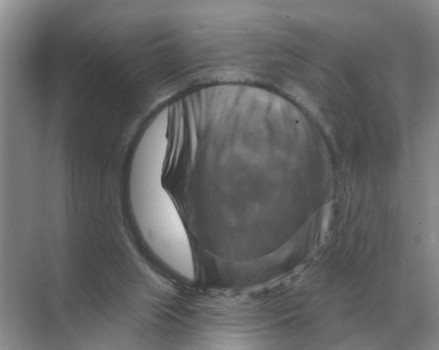 X0000070180063200606162133