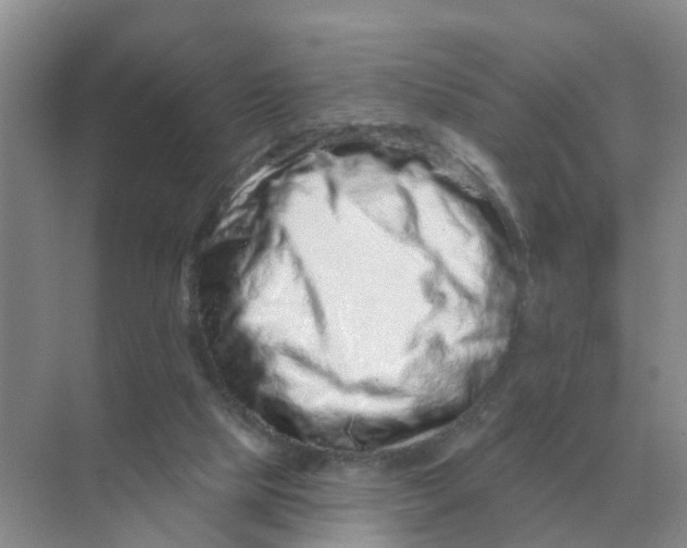 X0000070180065200606162133