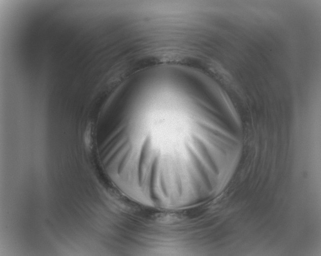 X0000070180074200606162133