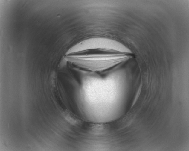 X0000070180083200606162133