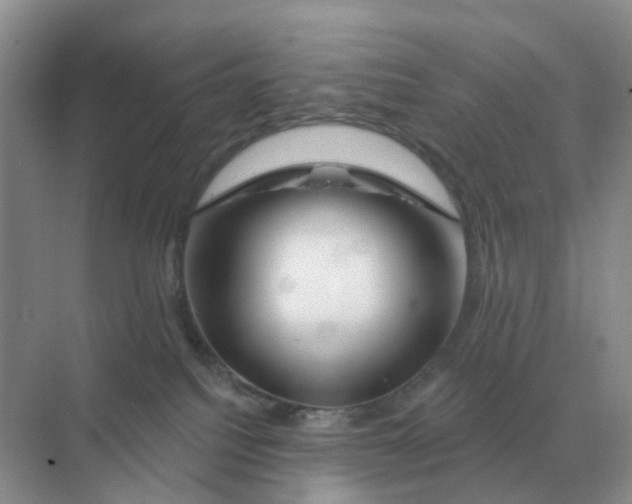 X0000070180088200606162133