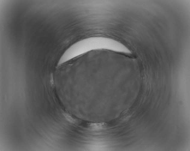 X0000070180089200606162133