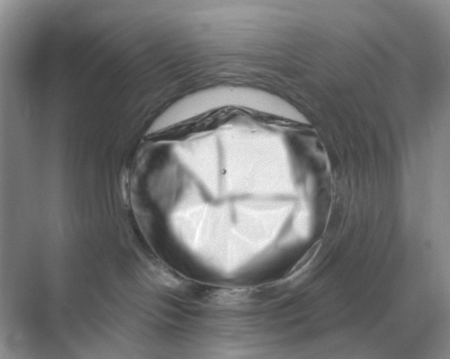 X0000070180094200606162133