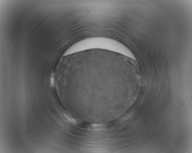 X0000070180095200606162133