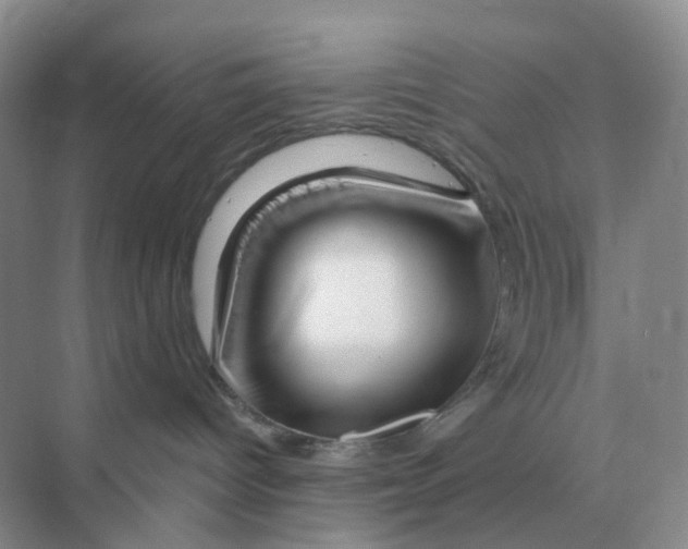 X0000070180096200606162133