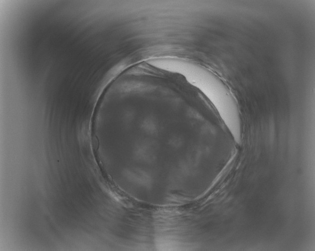 X0000070180099200606162132