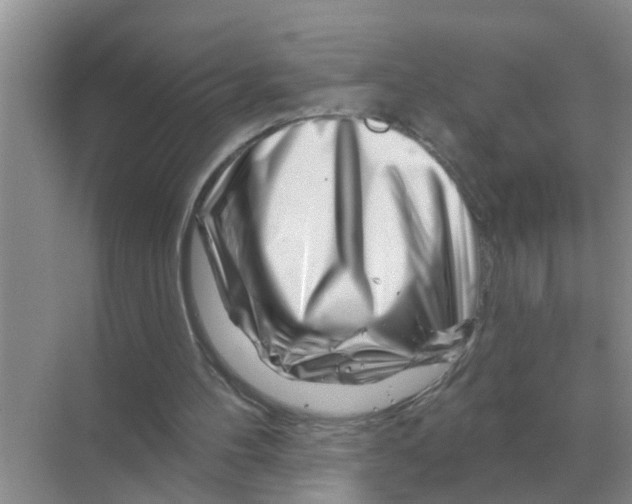 X0000070180100200606162132