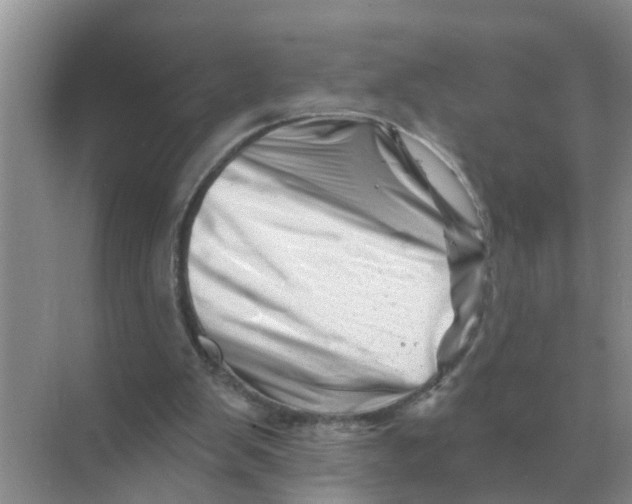 X0000070180103200606162132