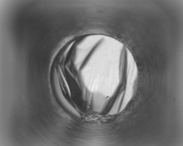 X0000070180104200606162132