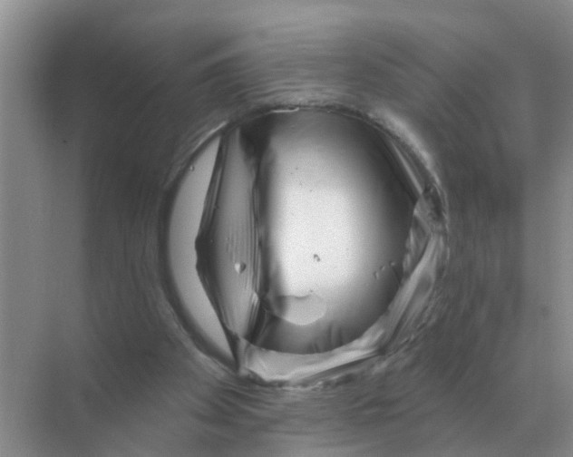 X0000070180105200606162132