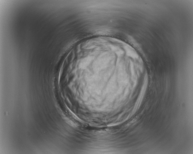 X0000070180106200606162132
