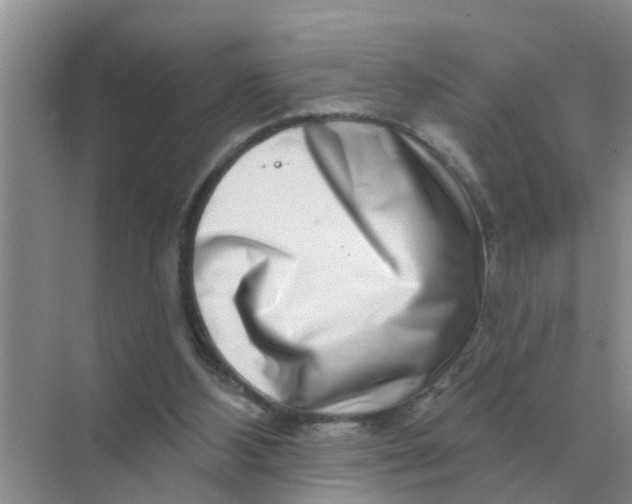 X0000070180108200606162132