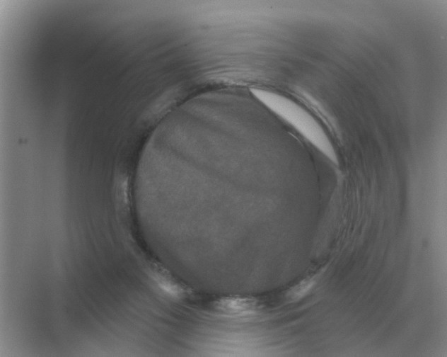 X0000070180117200606162132