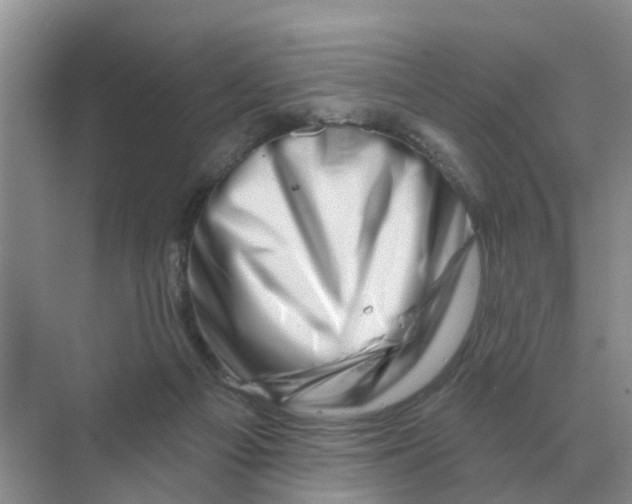X0000070180121200606162132