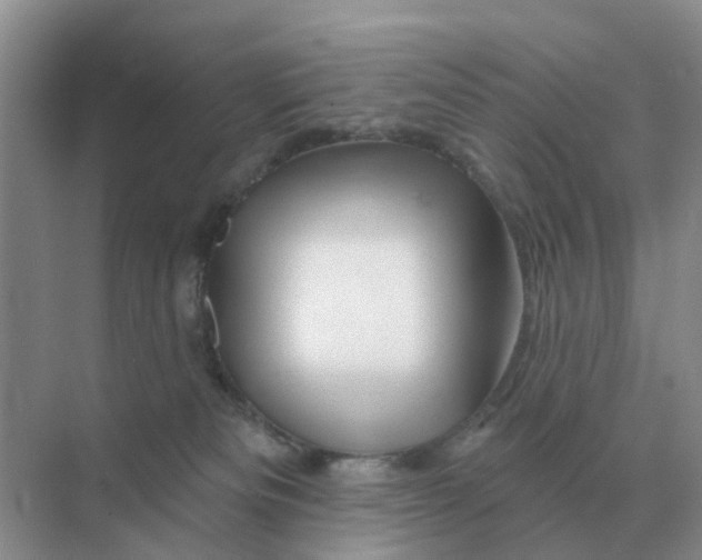 X0000070180133200606162132