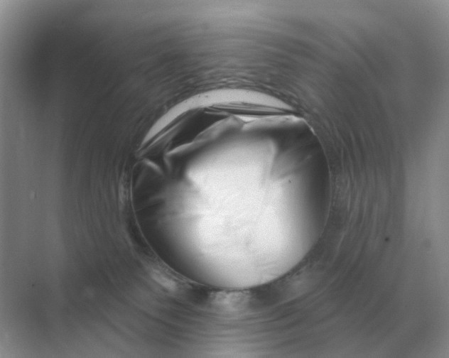 X0000070180135200606162132