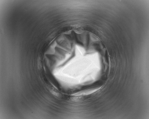 X0000070180136200606162132