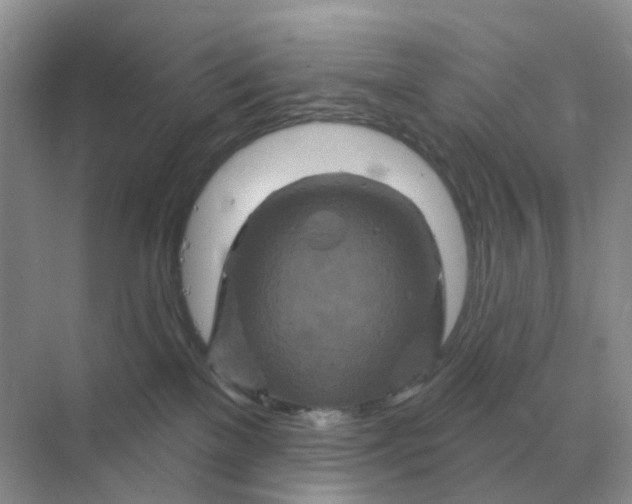 X0000070180137200606162132