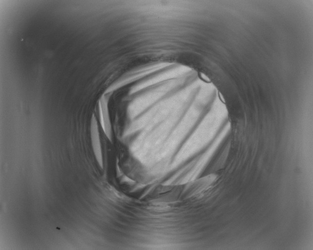X0000070180138200606162132