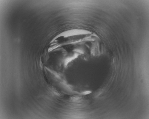 X0000070180139200606162132