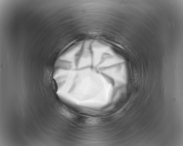 X0000070180142200606162132