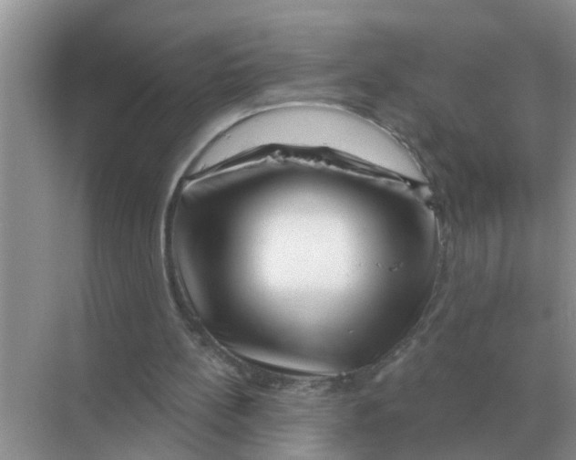 X0000070180148200606162131