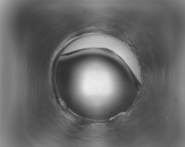 X0000070180150200606162131