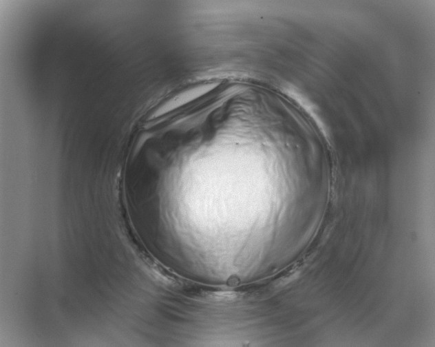 X0000070180153200606162131