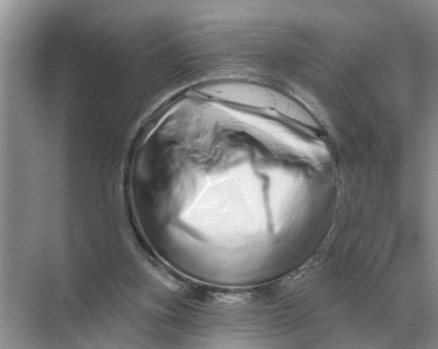 X0000070180155200606162131