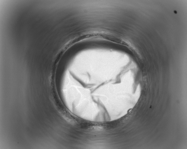 X0000070180159200606162131