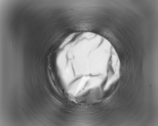 X0000070180166200606162131