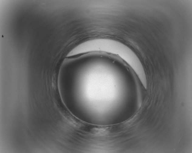 X0000070180170200606162131