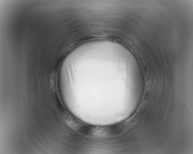 X0000070180175200606162131