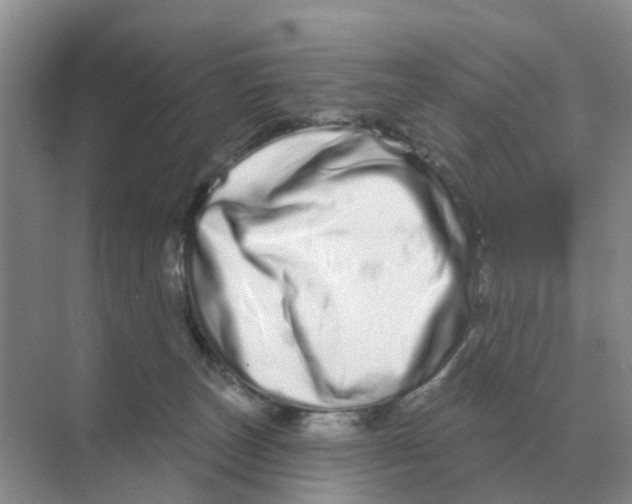 X0000070180179200606162131