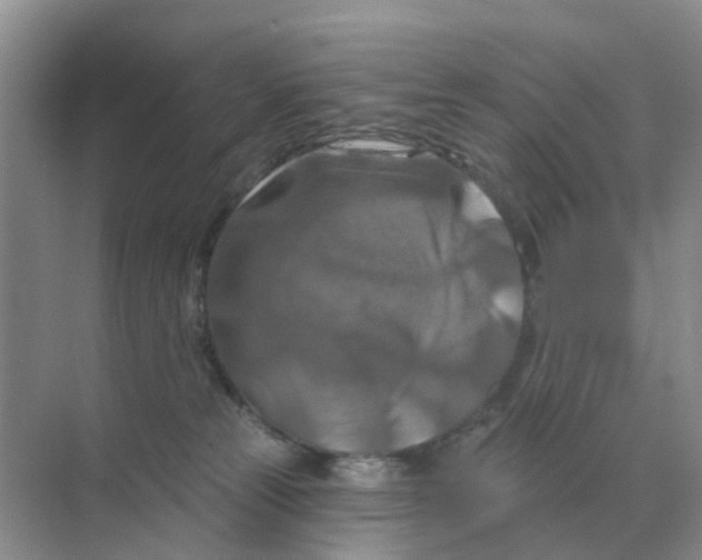 X0000070180181200606162131