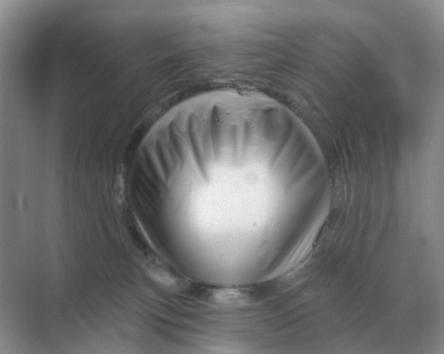 X0000070180183200606162131