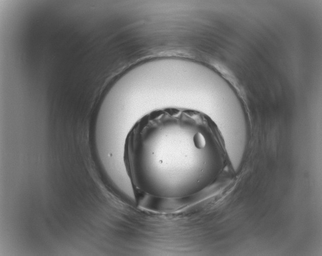 X0000070180201200606162131