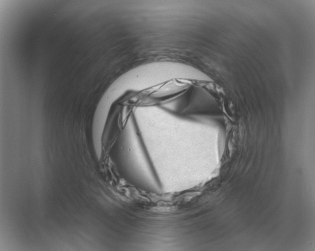 X0000070180225200606162130