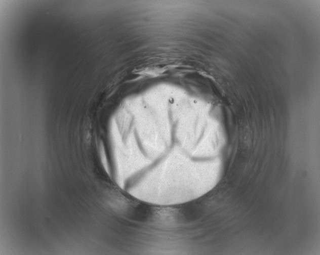 X0000070180226200606162130