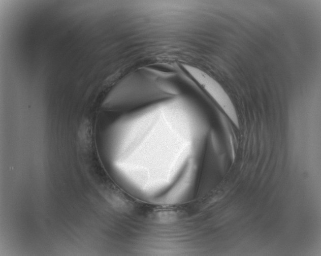 X0000070180228200606162130
