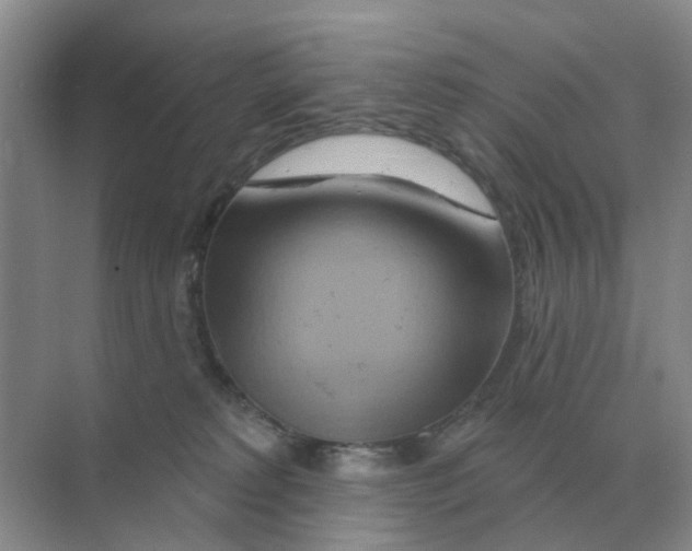 X0000070180229200606162130