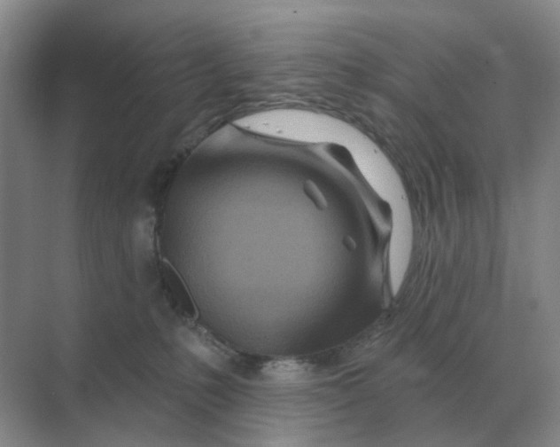 X0000070180231200606162130