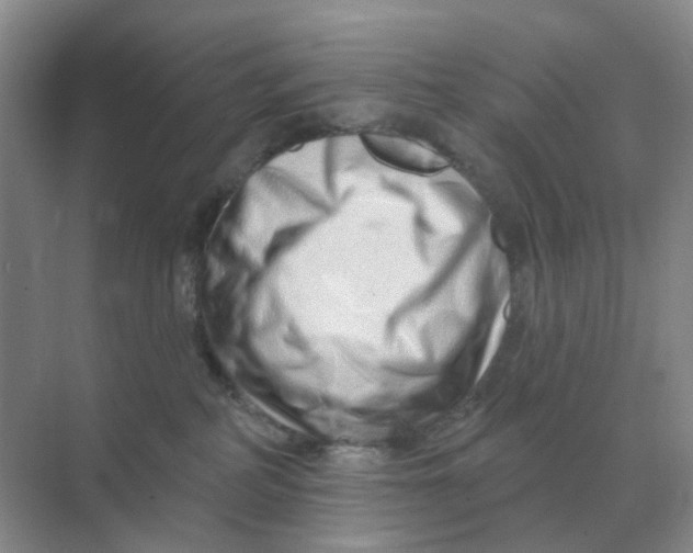 X0000070180234200606162130