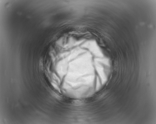 X0000070180238200606162130