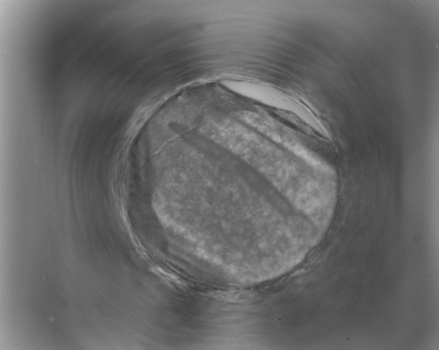 X0000070180241200606162129