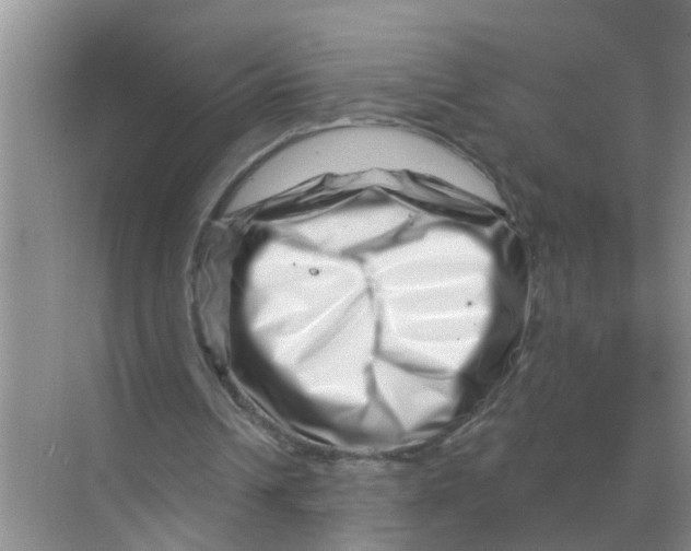 X0000070180242200606162129
