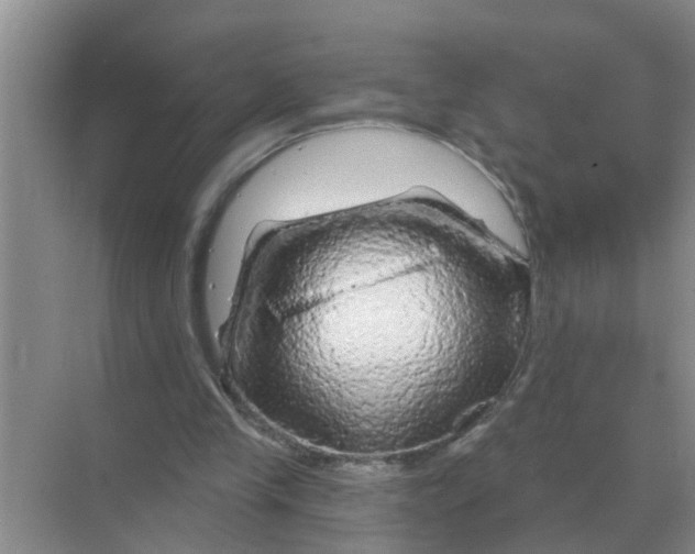 X0000070180245200606162129